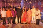 Raghavendra Rao Son Wedding Reception 01 - 4 of 243