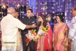 Raghavendra Rao Son Wedding Reception 01 - 86 of 243
