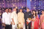 Raghavendra Rao Son Wedding Reception 01 - 88 of 243