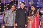 Raghavendra Rao Son Wedding Reception 01 - 108 of 243