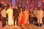 Raghavendra Rao Son Wedding Reception 01 - 135 of 243