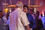 Raghavendra Rao Son Wedding Reception 01 - 136 of 243