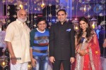 Raghavendra Rao Son Wedding Reception 01 - 180 of 243