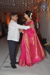 Raghavendra Rao Son Wedding Reception 01 - 197 of 243