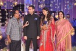 Raghavendra Rao Son Wedding Reception 01 - 226 of 243