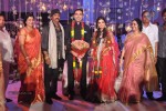 Raghavendra Rao Son Wedding Reception 01 - 243 of 243