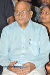Raghupathi Venkaiah Naidu Audio Launch - 128 of 161