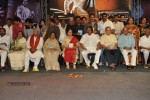 Raghupathi Venkaiah Naidu Audio Launch - 134 of 161