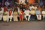 Raghupathi Venkaiah Naidu Audio Launch - 113 of 161