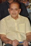 Raghupathi Venkaiah Naidu Audio Launch - 135 of 161