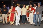 Raghupathi Venkaiah Naidu Audio Launch - 30 of 161