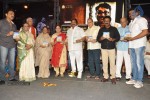 Raghupathi Venkaiah Naidu Audio Launch - 144 of 161