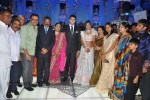 Raghuveera Reddy Daughter Wedding Reception - 5 of 169