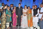 Raghuveera Reddy Daughter Wedding Reception - 162 of 169