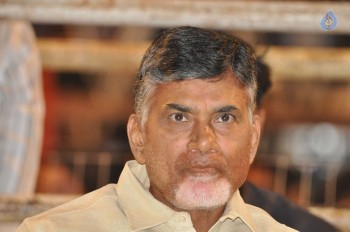 Raja Cheyyi Vesthe Audio Launch 1 - 8 of 158