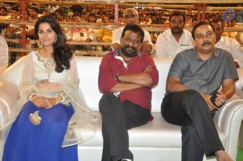 Raja Cheyyi Vesthe Audio Launch 1 - 148 of 158