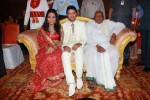 Raja n Amritha Wedding Reception - 9 of 19