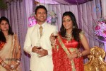 Raja n Amritha Wedding Reception - 14 of 19