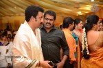 Raja Ravindra Daughter Wedding Photos - 34 of 284