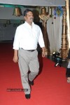 Raja Ravindra Daughter Wedding Photos - 120 of 284