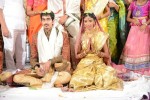 Raja Ravindra Daughter Wedding Photos - 134 of 284