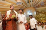Raja Ravindra Daughter Wedding Photos - 136 of 284