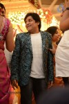 Raja Ravindra Daughter Wedding Photos - 153 of 284
