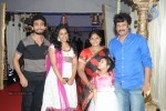 Raja Ravindra Daughter Wedding Photos - 201 of 284