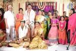 Raja Ravindra Daughter Wedding Photos - 229 of 284