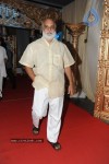 Raja Ravindra Daughter Wedding Photos - 261 of 284