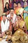 Raja Ravindra Daughter Wedding Photos - 268 of 284