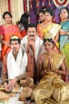 Raja Ravindra Daughter Wedding Photos - 271 of 284