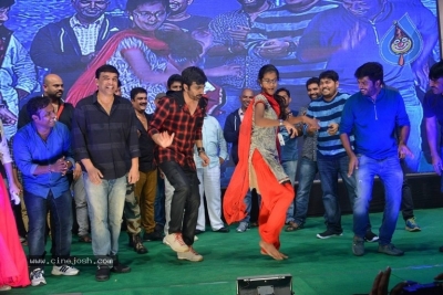 Raja The Great Success Celebration Photos - 14 of 16