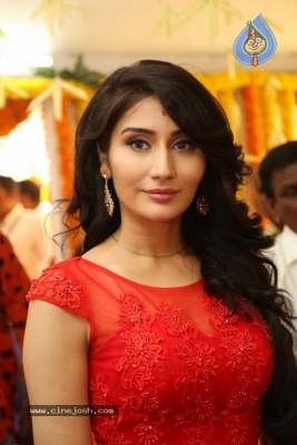 Rakul Preet Brother Aman Movie Opening - 18 of 42