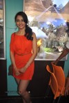 Rakul Preet Singh at Pix 5D Cinema Launch - 2 of 34