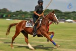 Ram Charan at POLO CM Cup Final Event - 5 of 107