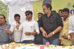 Ram Charan Birthday 2014 Celebrations - 47 of 205