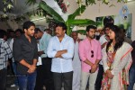 Ram Charan- Koratala Siva Movie Opening - 91 of 260