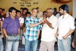 Rama Rama Krishna Krishna Movie Success Meet - 55 of 94