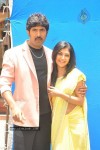 Ramachari Eedo Pedda Gudachari Movie Press Meet - 46 of 46