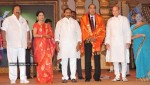 Ramanaidu Shata Ayushman Bhava Felicitation Photos - 18 of 31