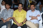 Ramayya Vastavayya Audio Launch 02 - 32 of 175