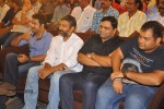 Ramayya Vastavayya Audio Launch 02 - 54 of 175