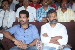 Ramayya Vastavayya Audio Launch 02 - 125 of 175