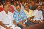 Ramayya Vastavayya Audio Launch 02 - 157 of 175