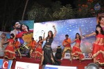 Ramleela Platinum Disc Function 01 - 11 of 53