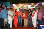 Ramleela Platinum Disc Function 03 - 50 of 50