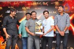 Ranga The Donga Movie Triple Platinum Disc Function - 4 of 76