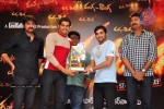 Ranga The Donga Movie Triple Platinum Disc Function - 26 of 76