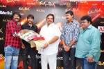 Ranga The Donga Movie Triple Platinum Disc Function - 64 of 76